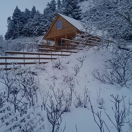 Chalet The Sam's House *