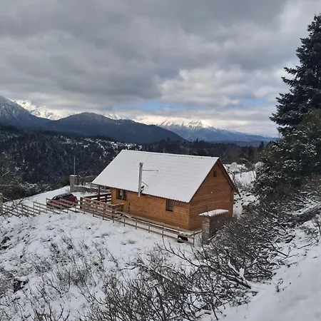 The Sam's House